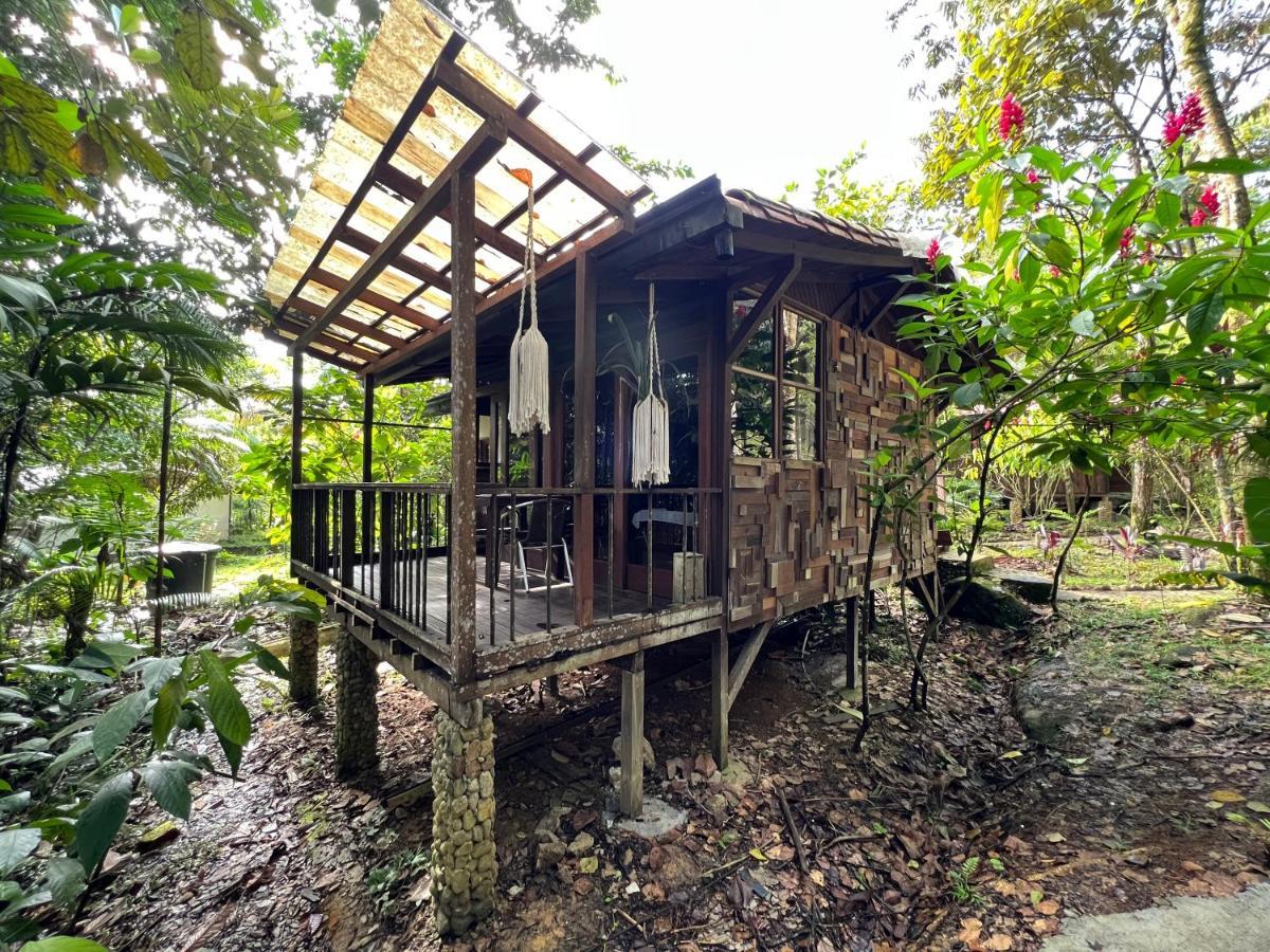 Villa Ritmo Del Rio San Rafael  Exterior foto